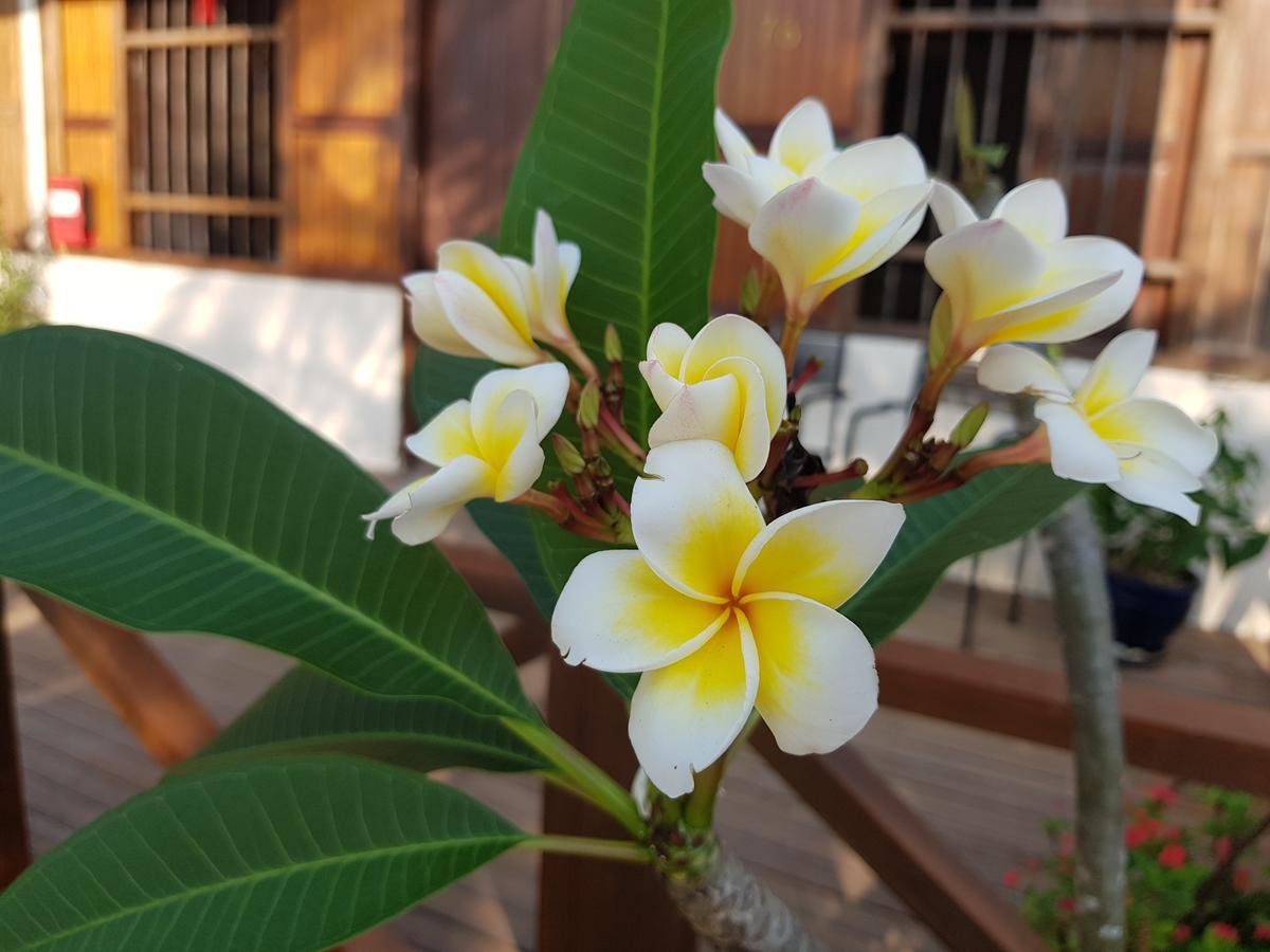 פנטאי קוק Experience Island Heritage Home מראה חיצוני תמונה