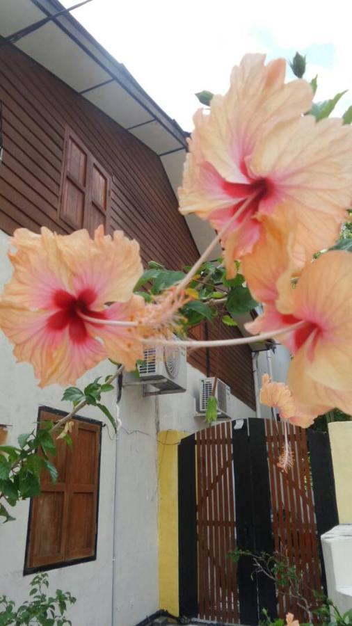 פנטאי קוק Experience Island Heritage Home מראה חיצוני תמונה
